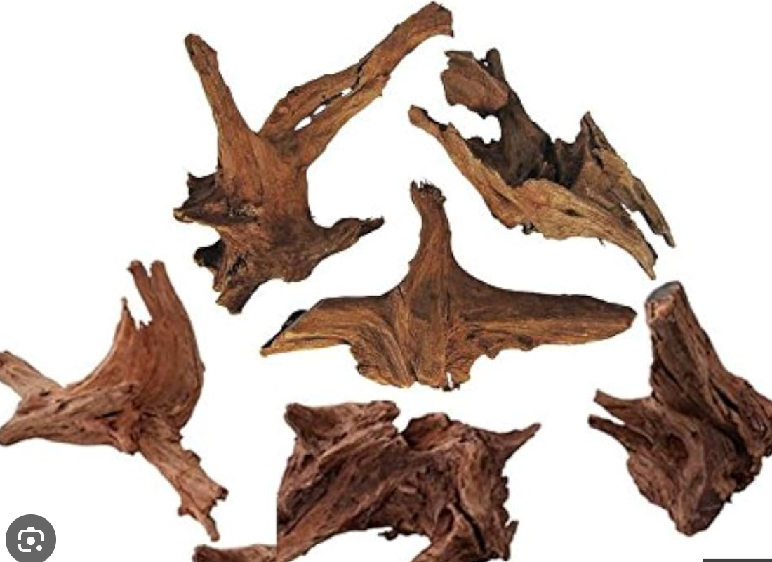Racines de Mangrove Naturelles (Mangrove Driftwood)