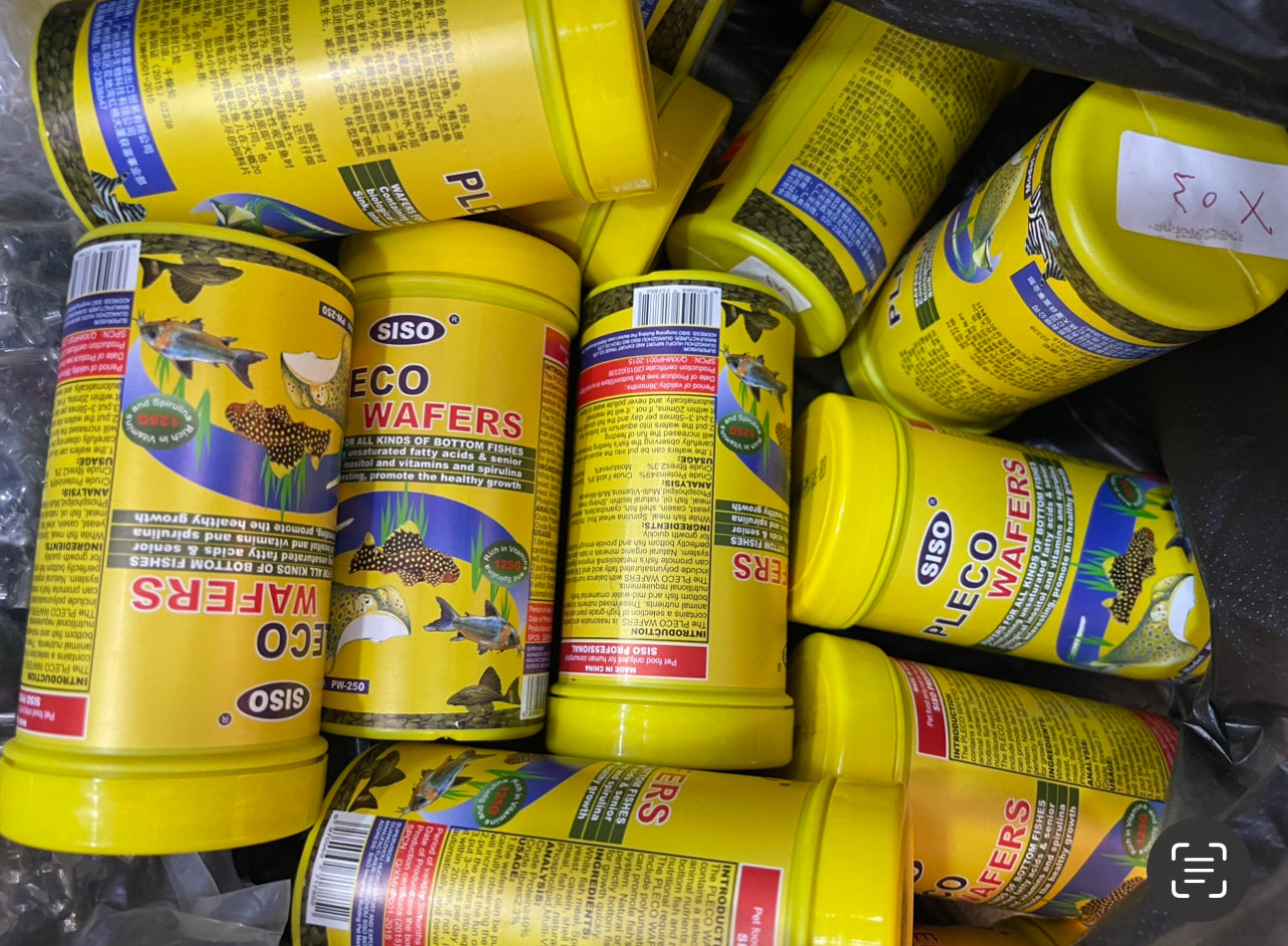 SISO 100g top nourriture