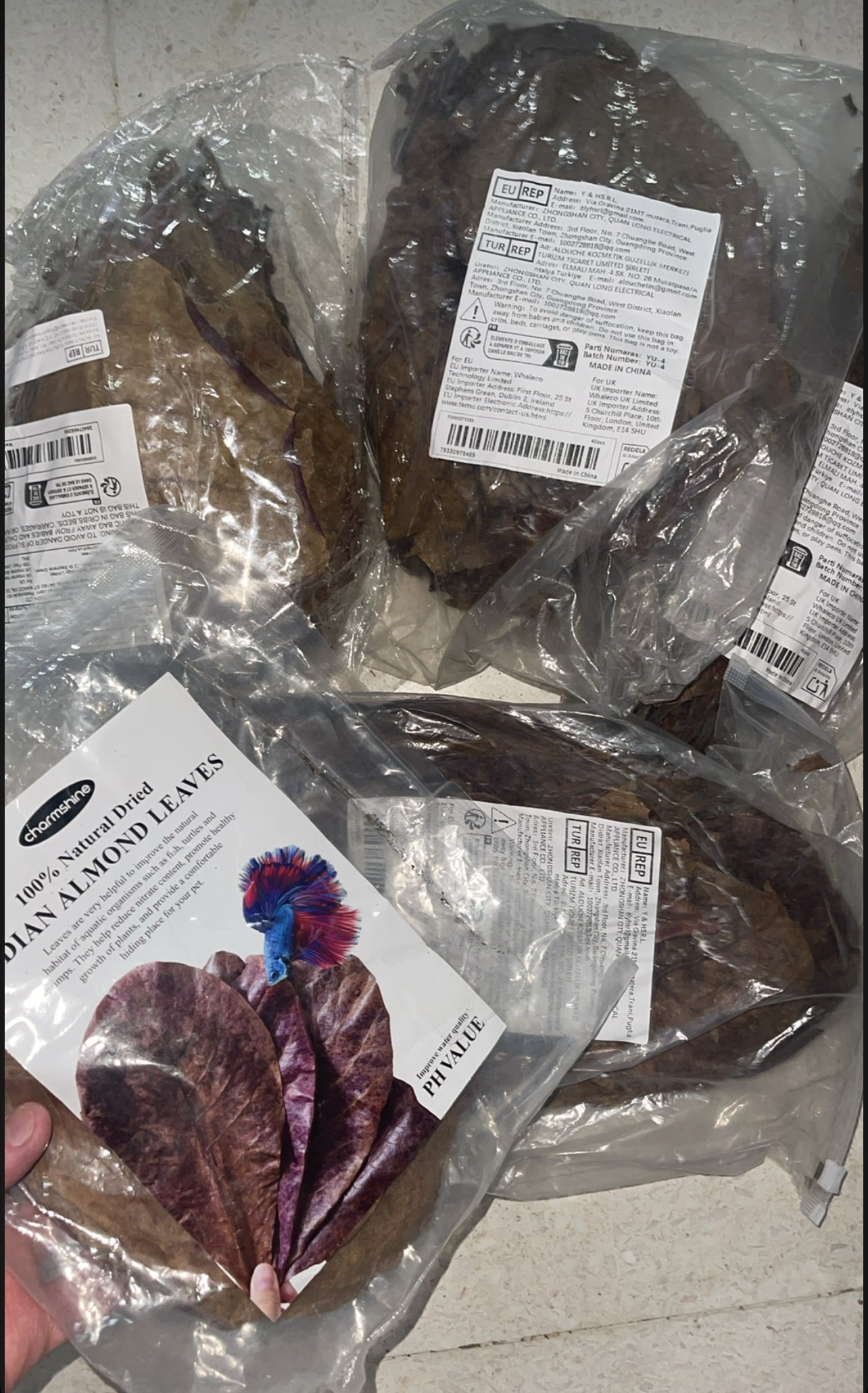 Feuilles de Catappa Naturelles