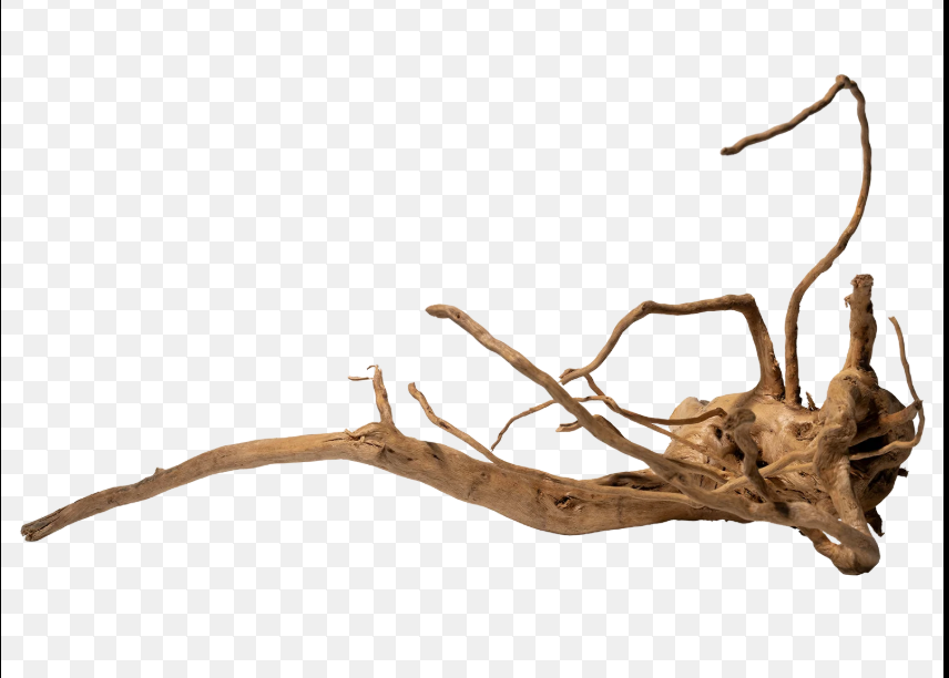 Racines Naturelles d’Aquascaping Premium (Spider Wood / Red Moor)