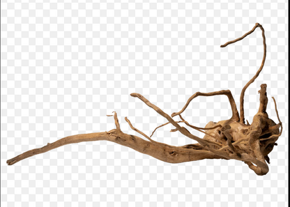 Racines Naturelles d’Aquascaping Premium (Spider Wood / Red Moor)