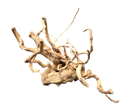 Racines Naturelles d’Aquascaping Premium (Spider Wood / Red Moor)