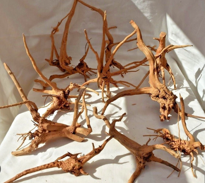 Racines Naturelles d’Aquascaping Premium (Spider Wood / Red Moor)