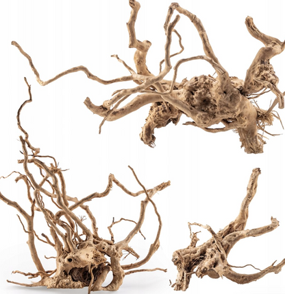 Racines Naturelles d’Aquascaping Premium (Spider Wood / Red Moor)