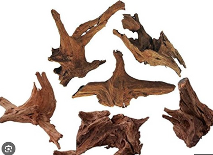 Racines de Mangrove Naturelles (Mangrove Driftwood)