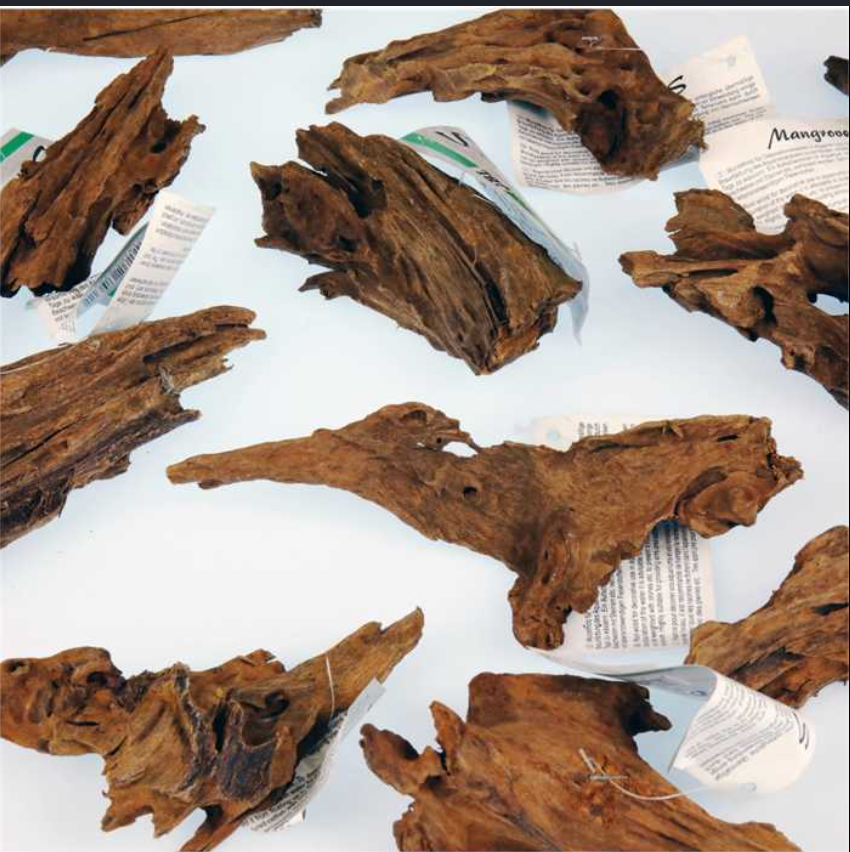 Racines de Mangrove Naturelles (Mangrove Driftwood)