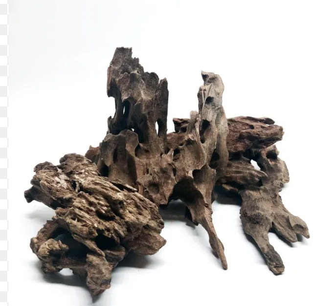 Racines Dragon Wood Premium (Honeycomb Wood) par kg