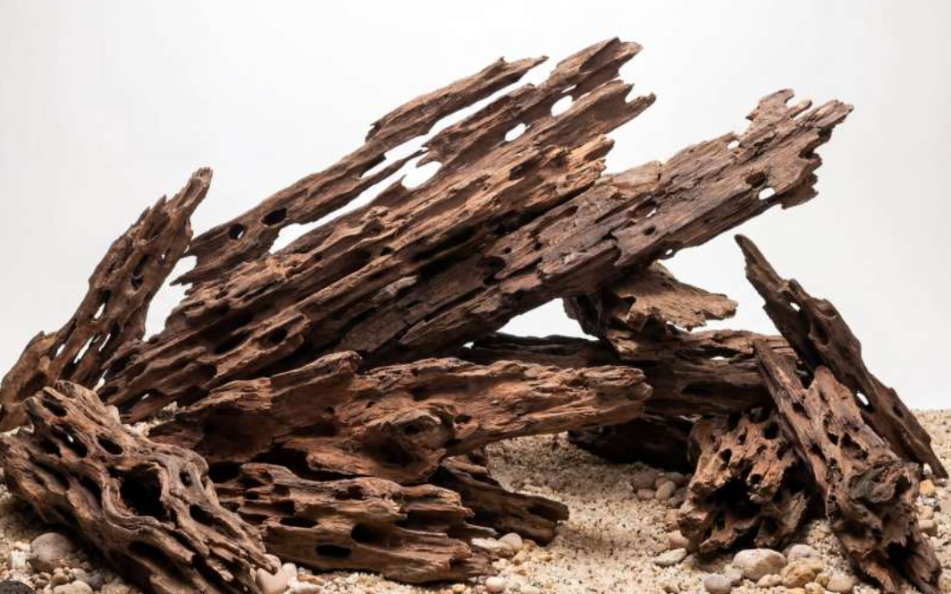 Racines Dragon Wood Premium (Honeycomb Wood) par kg