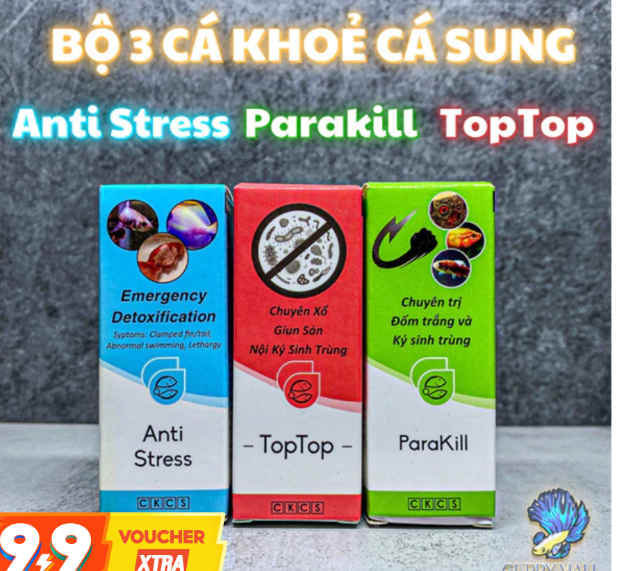 Combo de Soin Aquarium CKCS 3 prdts – Traitement Anti-Stress, Parasites et anti-bacterie