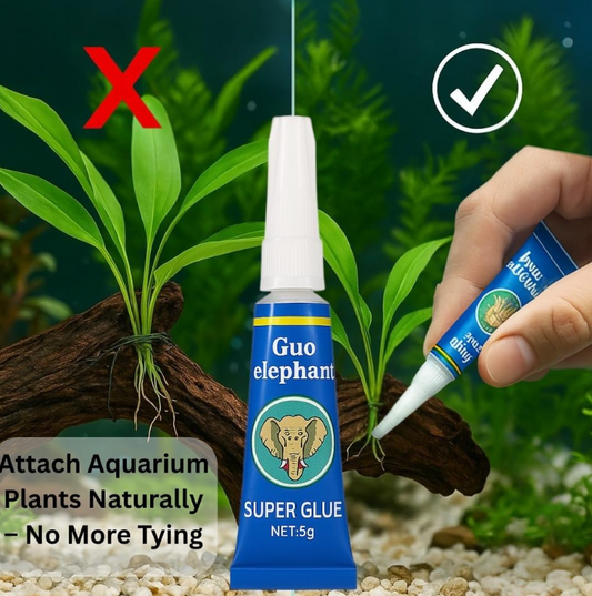 Colle Gel Spéciale Décors et Plantes d’Aquarium (Type Colle Éléphant)