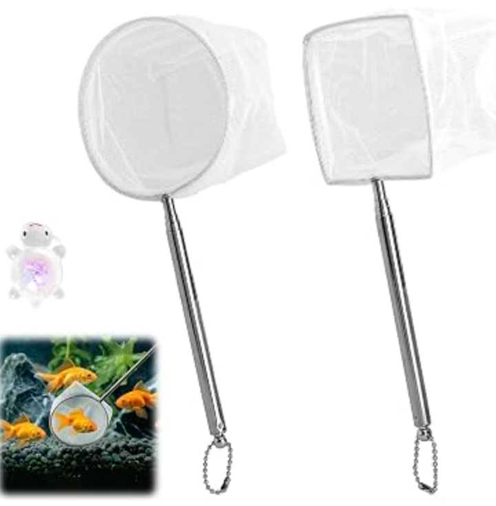 Épuisette Télescopique Premium en Inox