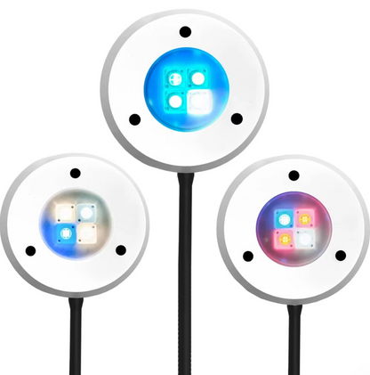 SPECTRA SP20