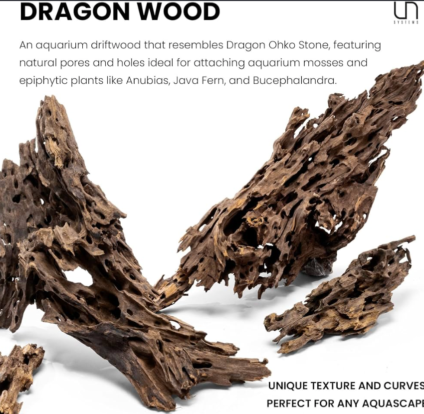Racines Dragon Wood Premium (Honeycomb Wood) par kg