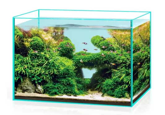 Ultra-White Aquarium Cuves Aquariums Nues Premium "Perfect Aquarium"