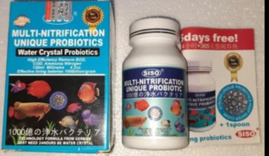 Probiotiques de Multi-Nitrification SISO  40gramme