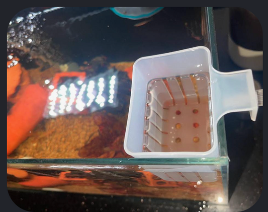 Pot Suspendu pour Plantes Semi-Aquatiques &amp; Aquaponie