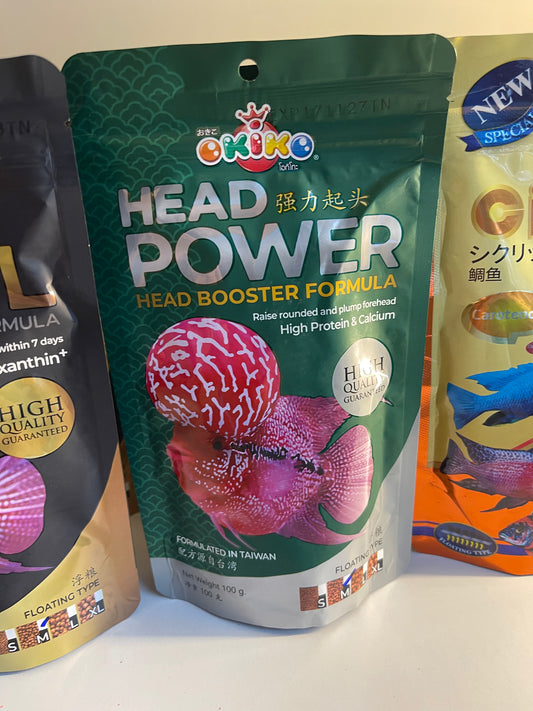 OKIKO Head Power – Formule Booster de Bosse Extrême (Sachet 100g)