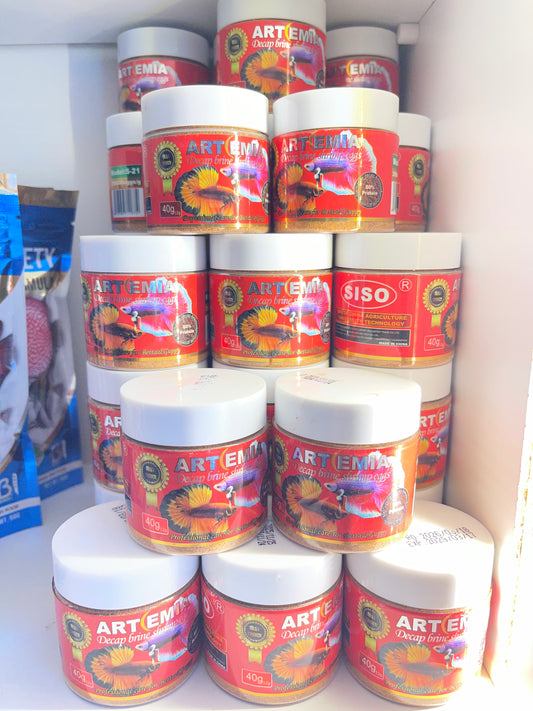 Œufs d’Artemia Décapsulés Premium – Direct Feed (Flacon 40g)