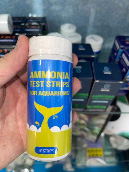Bandelettes de Test d’Ammoniaque DIPSTIK (Boîte de 50 Strips)