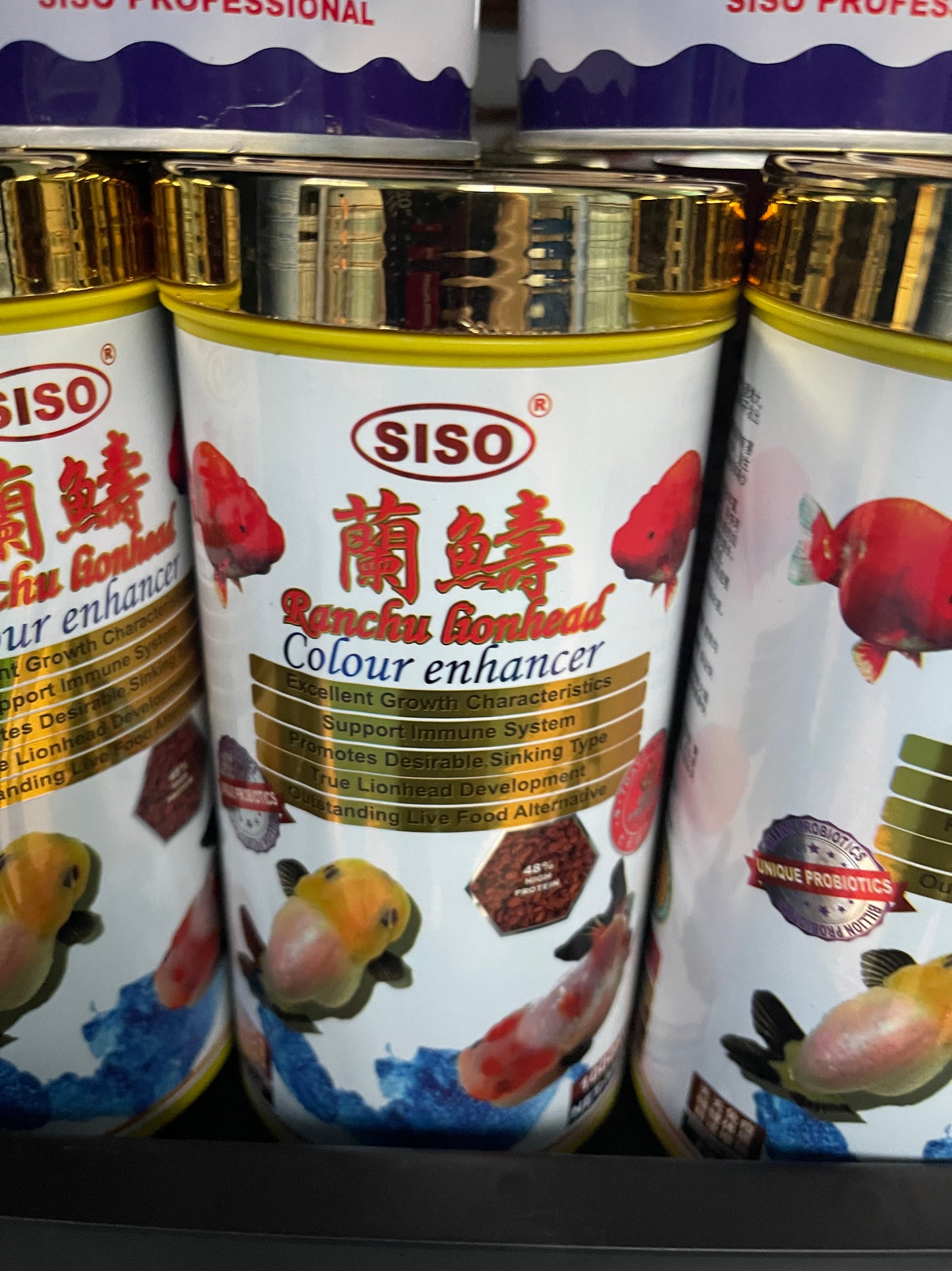 ourriture Voile de Chine SISO Ranchu Lionhead 450g