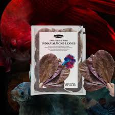 CHARMSHINE INDIAN ALMOND LEAVES