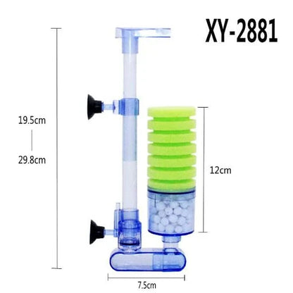 XY-2881
