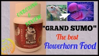 Grand Sumo - Accelerated Growth Enhancer (250g)