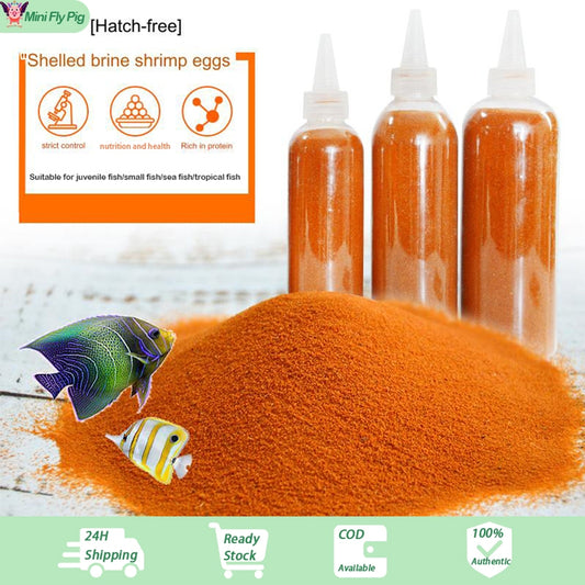 SHELLED BRINE SHRIMP EGGS