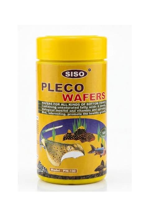SISO Pleco Wafers (Pot Jaune)